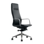 Fauteuil ALPINE