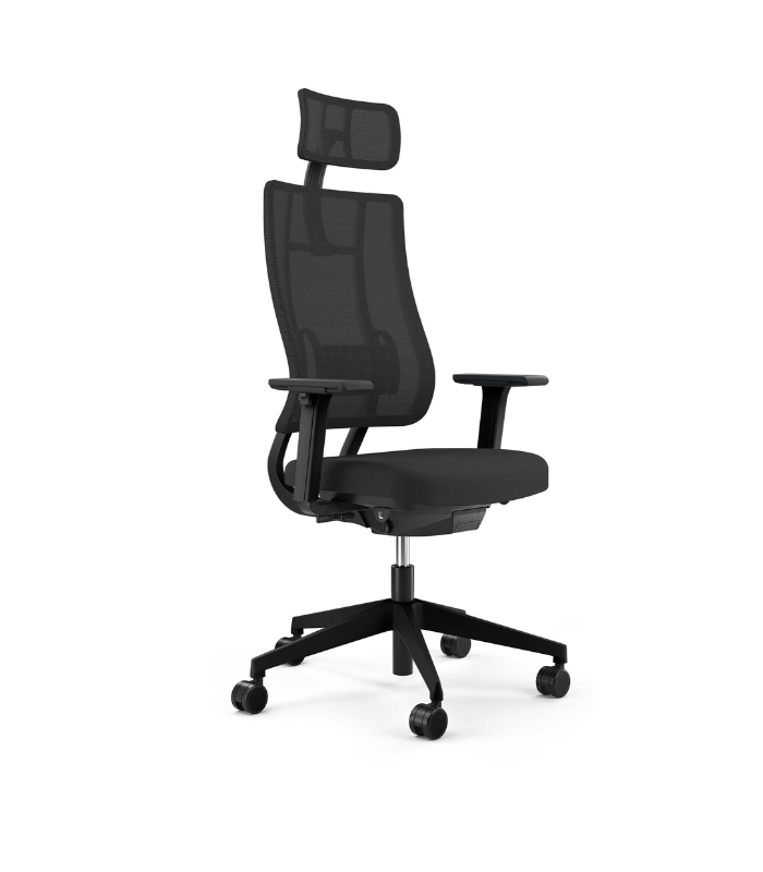 Fauteuil Ergonomique VIASIT Newback