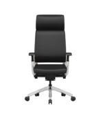 Fauteuil TITAN
