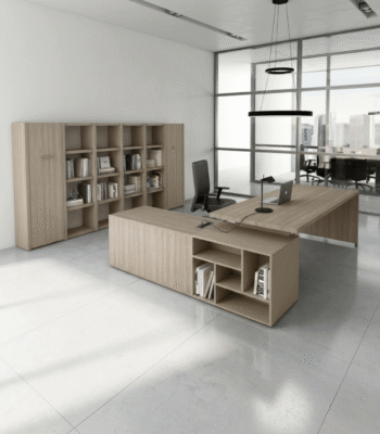 Bureau-direction-TOWER EVO