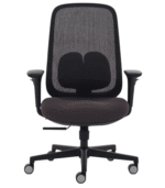Fauteuil-Ergonomique-DIRECTION-TWINKLE-VISITEUR