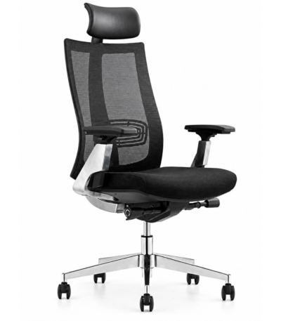 FAUTEUIL ERGONOMIQUE PARIS