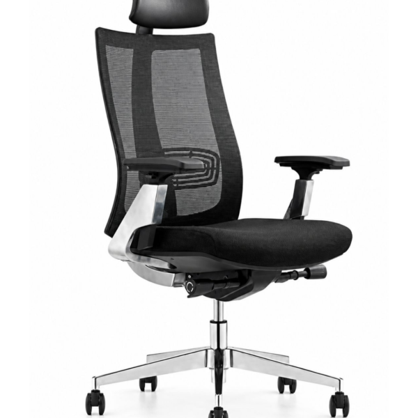 FAUTEUIL ERGONOMIQUE PARIS