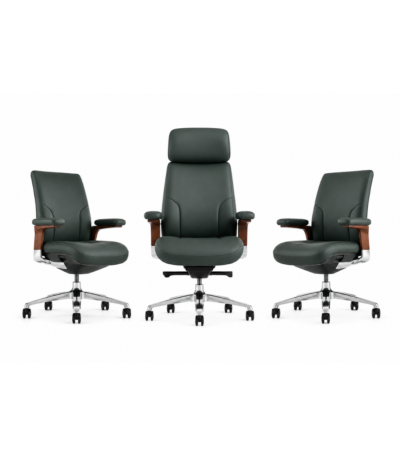 ENSEMBLE DE FAUTEUIL NOA VERT