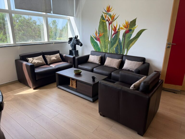 CANAPE EN VERITABLE CUIR FIOURI 01