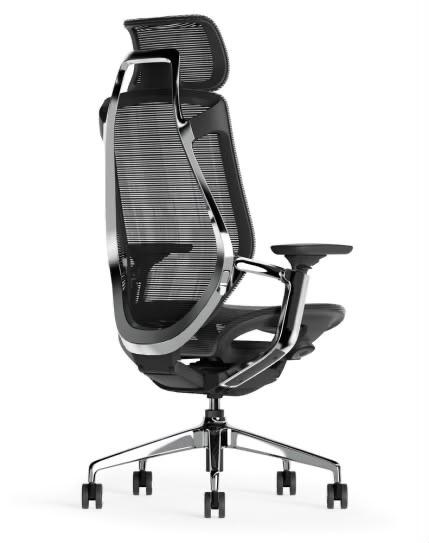 Fauteuil de direction ergonomique BIRCH