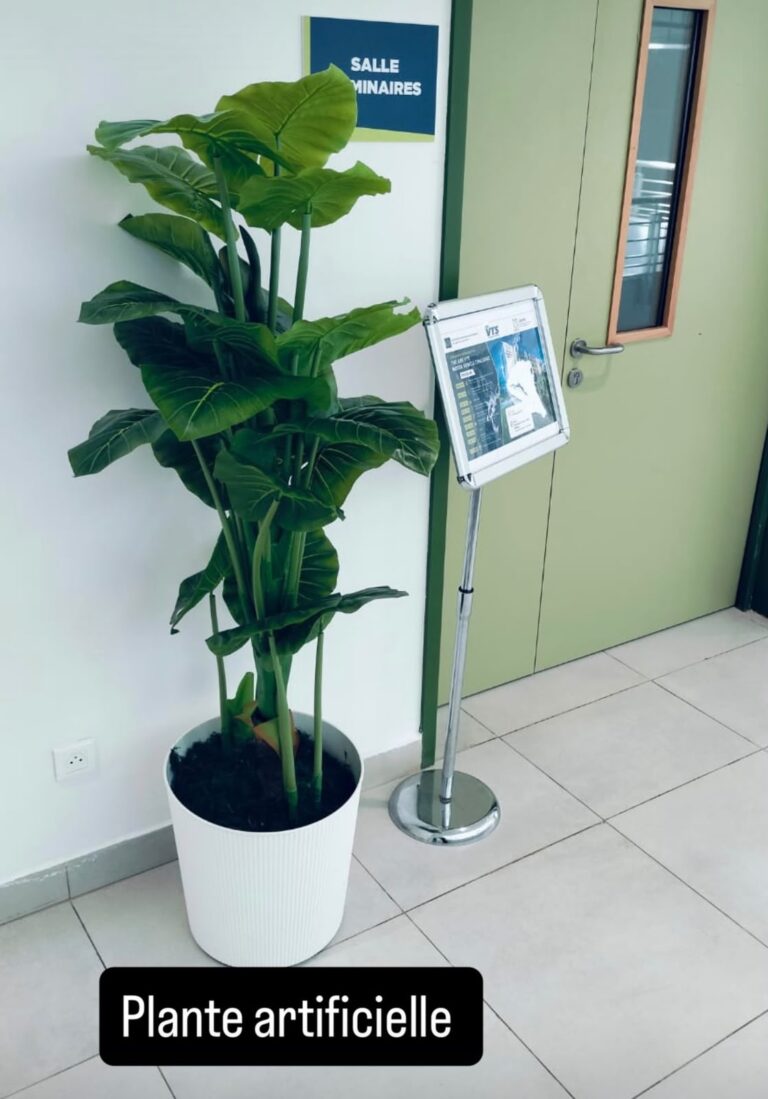 PLANTE ARTIFICIELLE ALOCASIA UNIVERSITE INTERNATIONALE DE RABAT